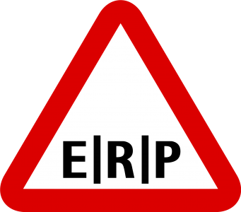 ERP en la nube