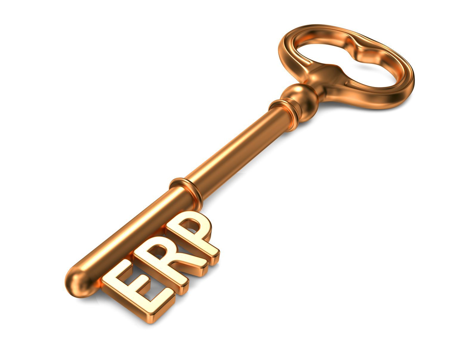 proveedor software gestion